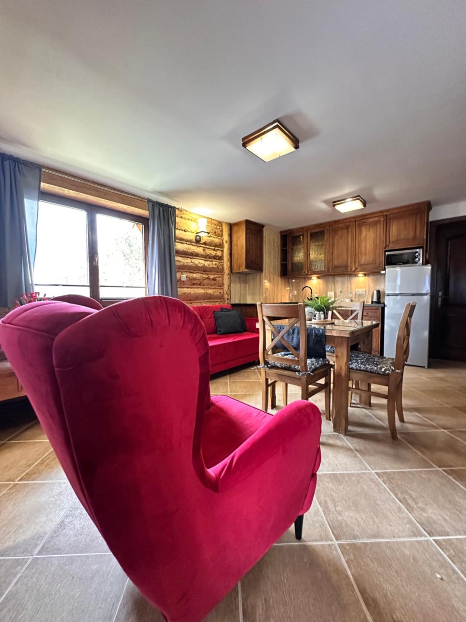 Apartamenty Z Widokiem Na Tatry Cztery Pory Roku Kościelisko Buitenkant foto
